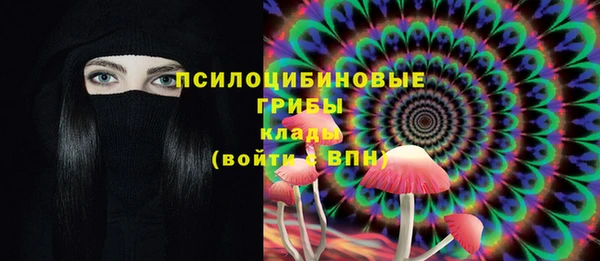 молекула духа Алексеевка