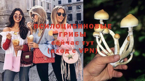молекула духа Алексеевка