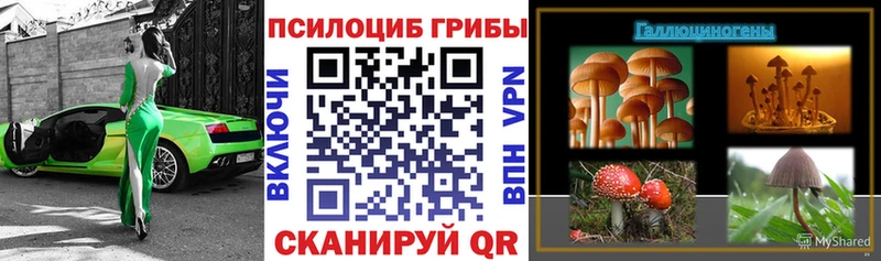 Галлюциногенные грибы мухоморы  что такое   Богданович 