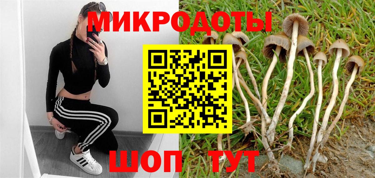 Галлюциногенные грибы Psilocybine cubensis  дарнет шоп  Богданович  Вход с VPN 